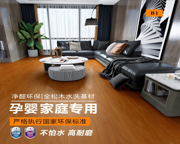 澄江B1